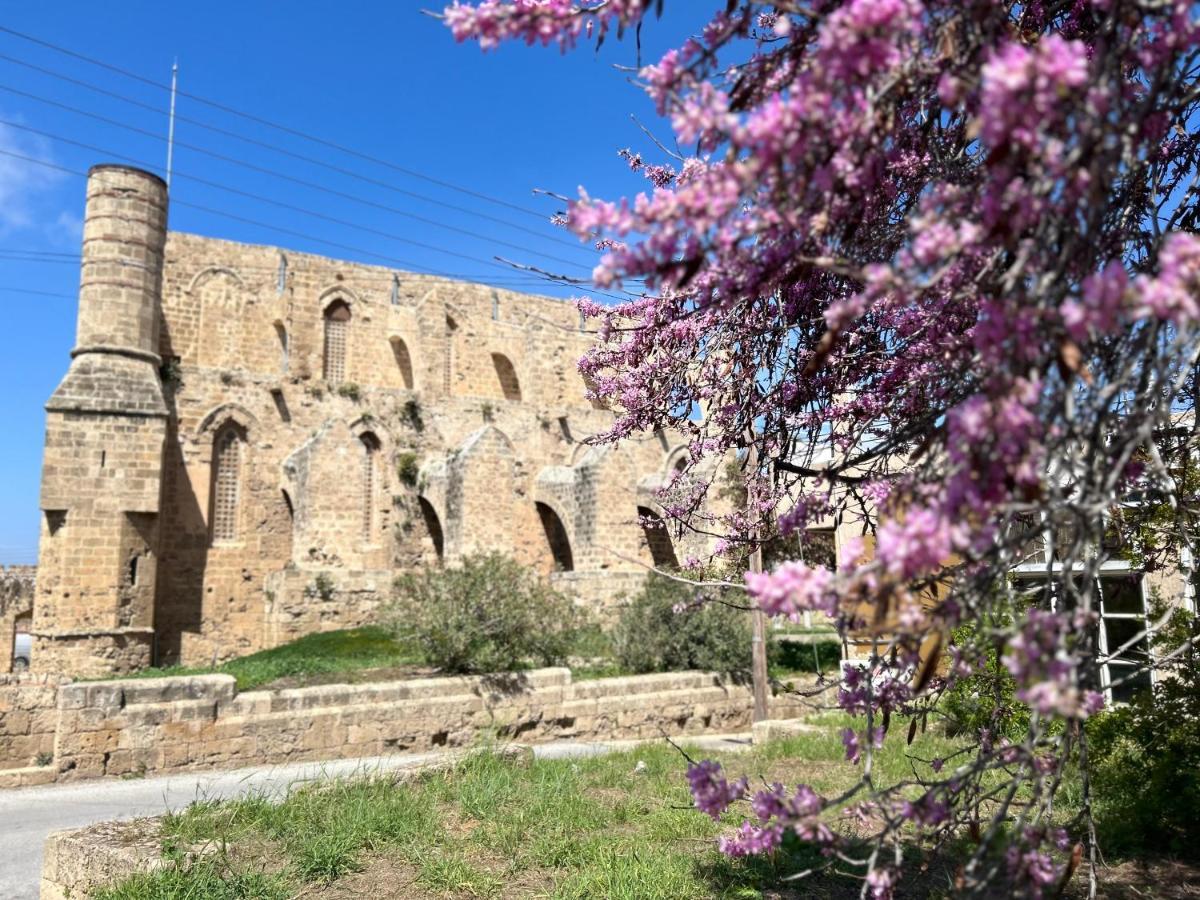 Royal Goddess Guest House, Walled City Famagusta  Ngoại thất bức ảnh