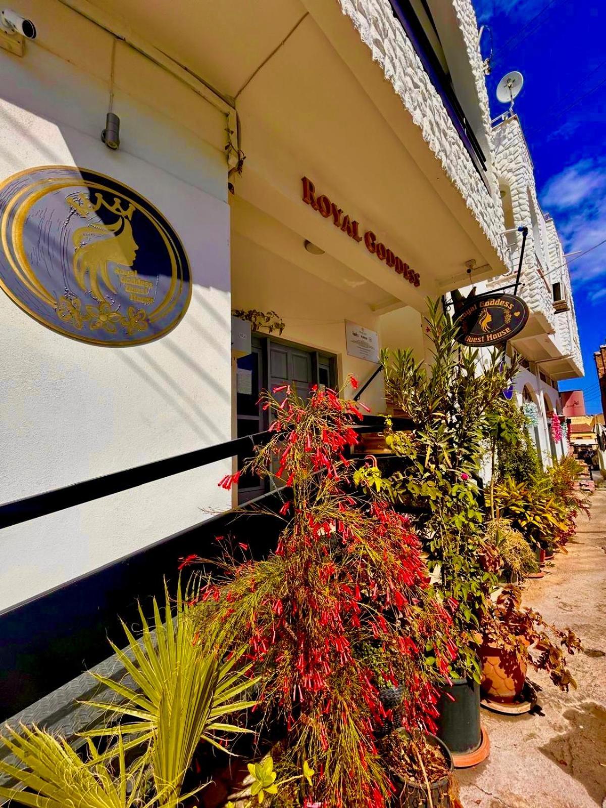 Royal Goddess Guest House, Walled City Famagusta  Ngoại thất bức ảnh